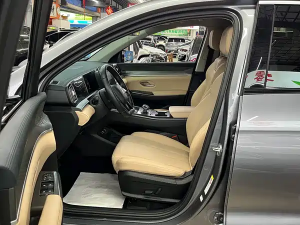 BYD Song Pro New Energy 2024
