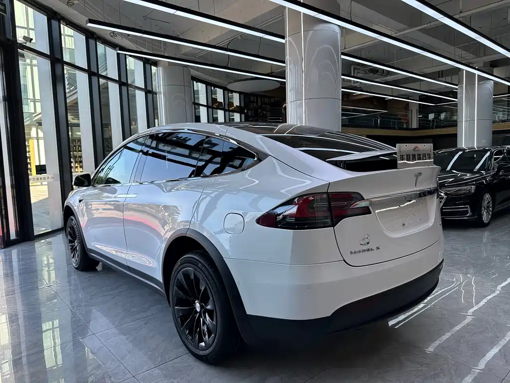 Tesla Model X 2019 — фото 23
