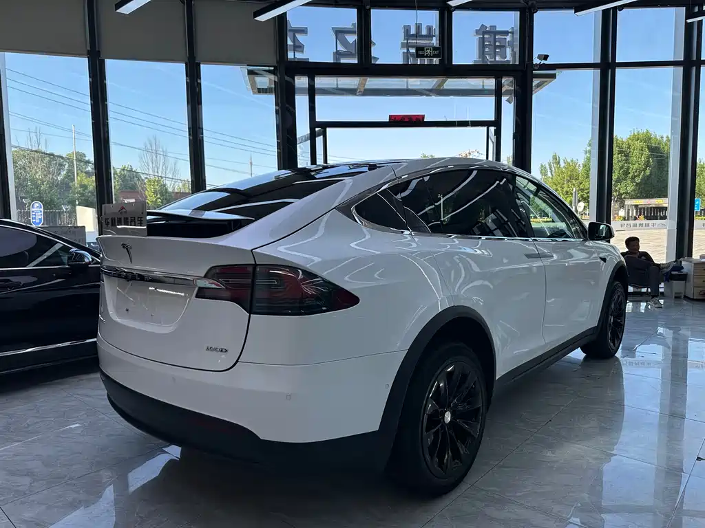 Tesla Model X 2019 — фото 25