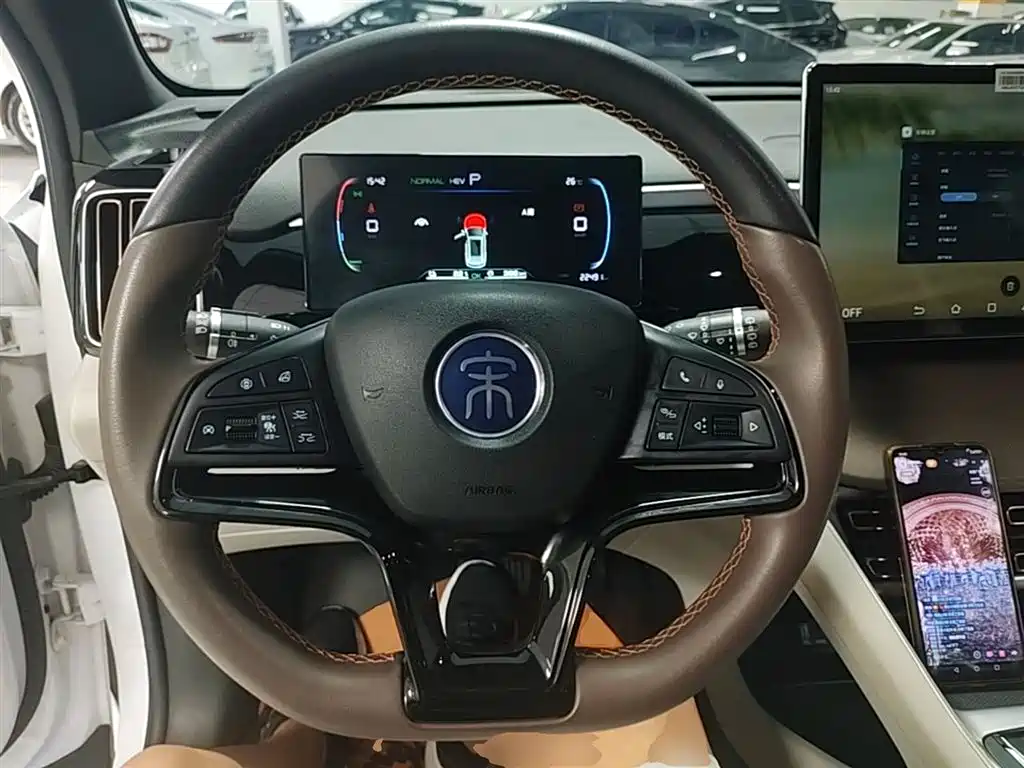 BYD Pro New Energy 2023 — фото 11