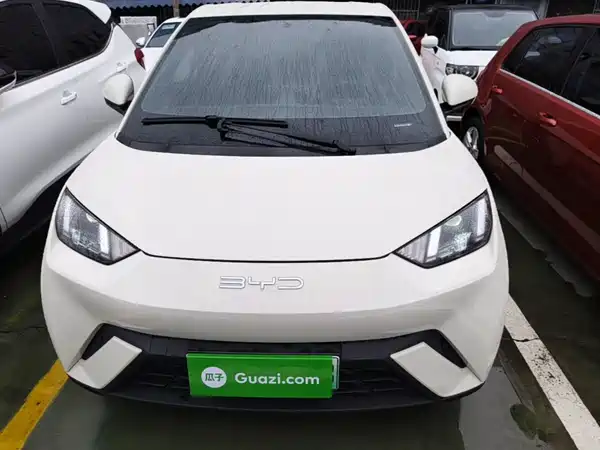 BYD Seagull 2024