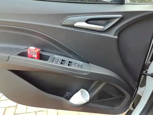 Neta V 2021