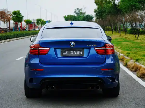 BMW X6 M 2010