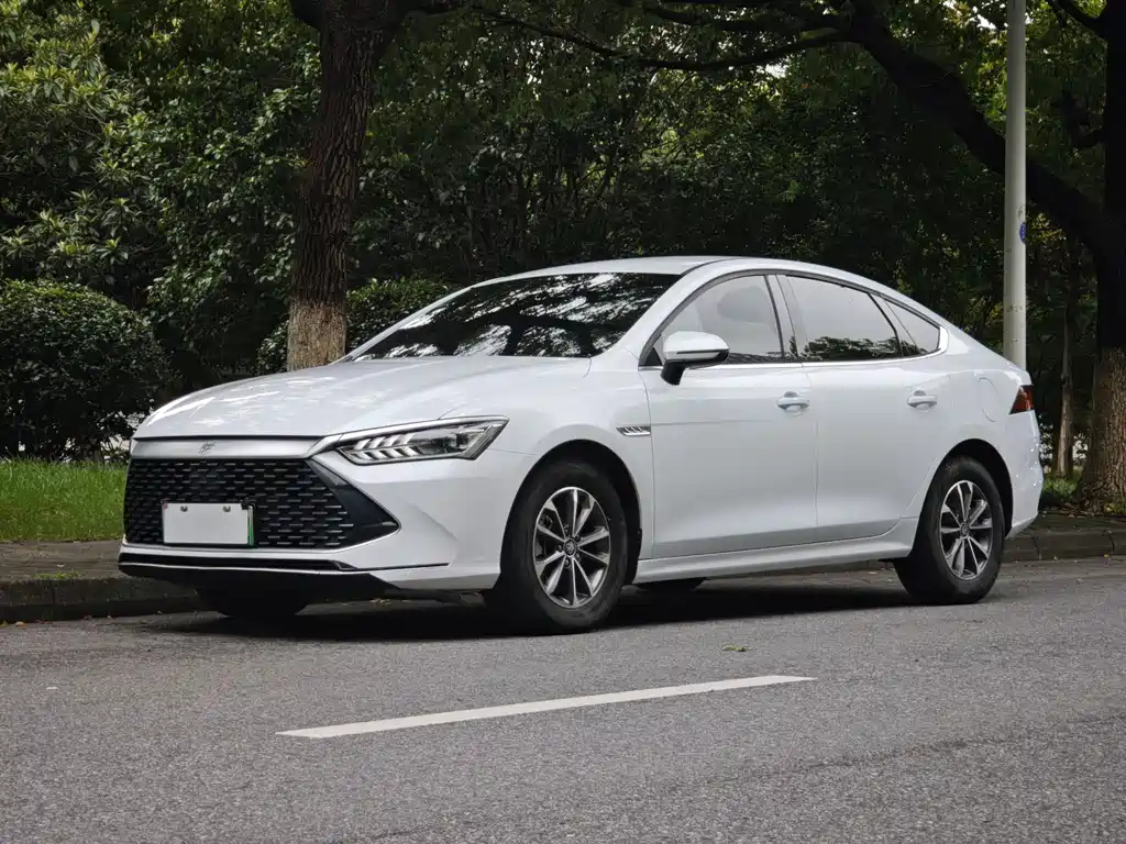 BYD Qin PLUS 2024 — фото 1