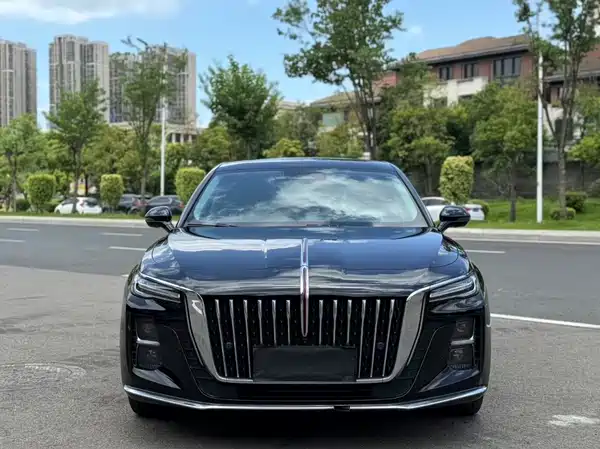 Hongqi H5 2024