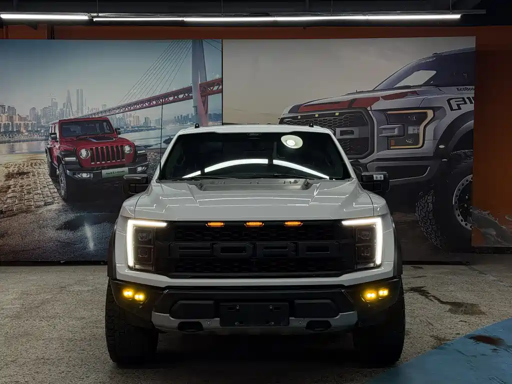 Ford F-150 Raptor 2024 — фото 2