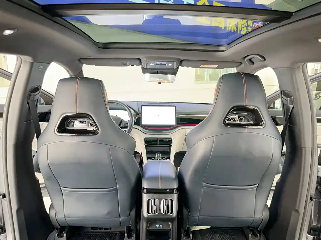BYD Song PLUS New Energy 2023 — фото 23