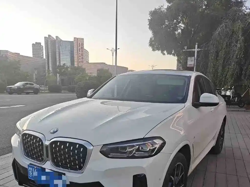 BMW X4 2023