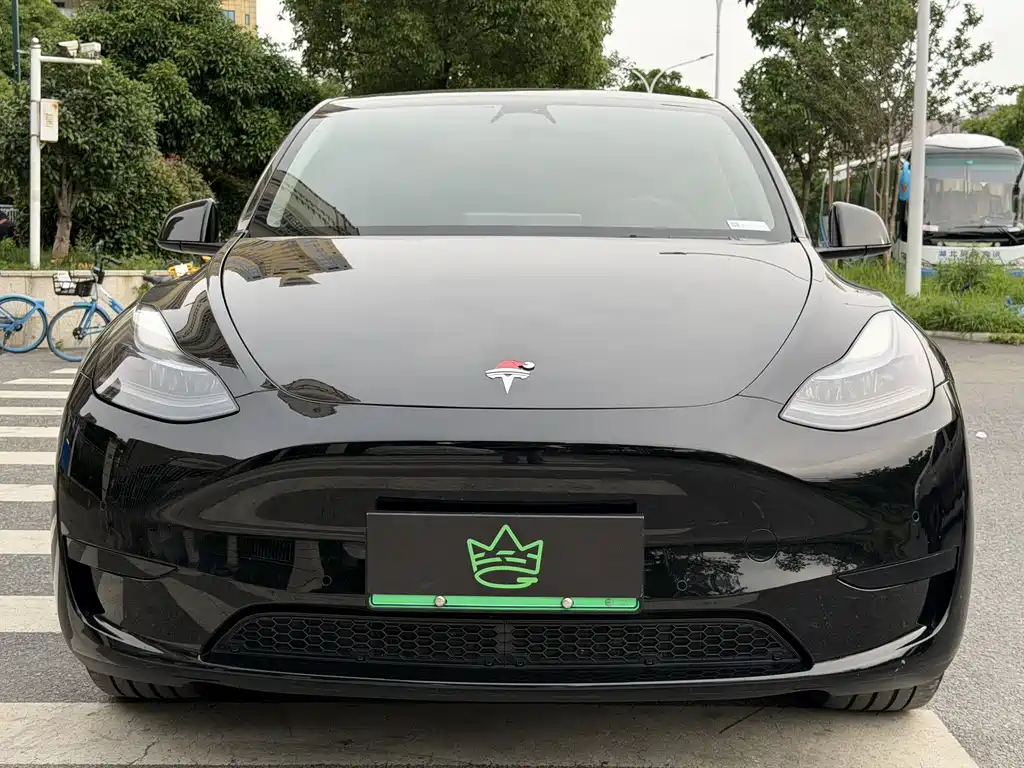 Tesla Model Y 2024 — фото 2