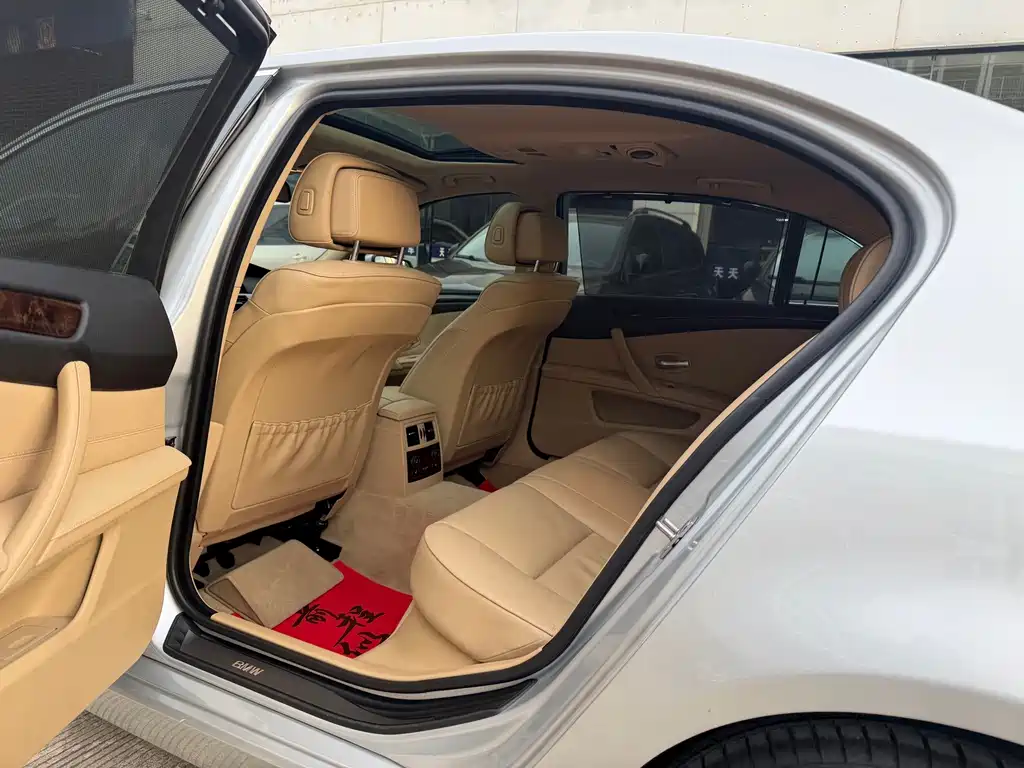 BMW 5 Series 2010