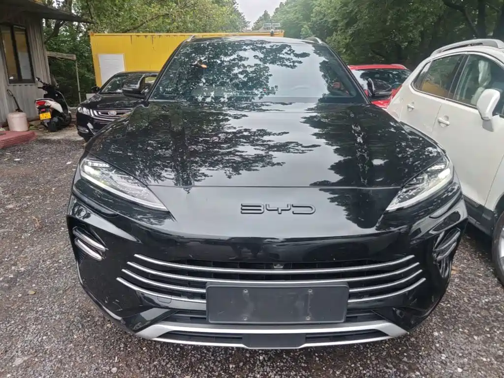 BYD Song PLUS New Energy 2024 — фото 3