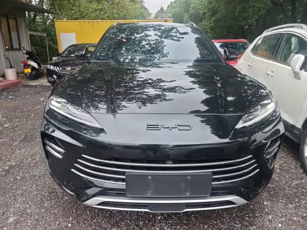 BYD Song PLUS New Energy 2024