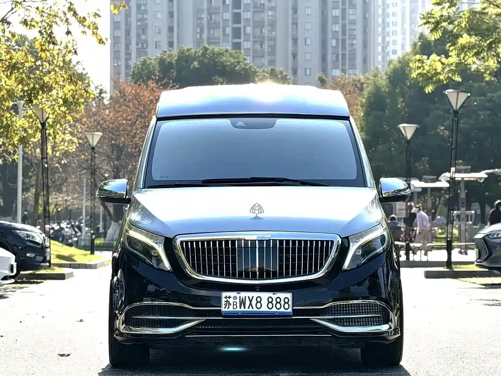 Mercedes-Benz V-Class 2019 — фото 17