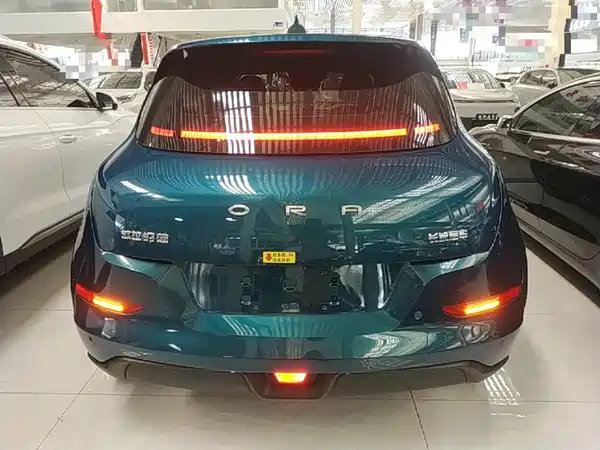 Ora Good Cat 2025