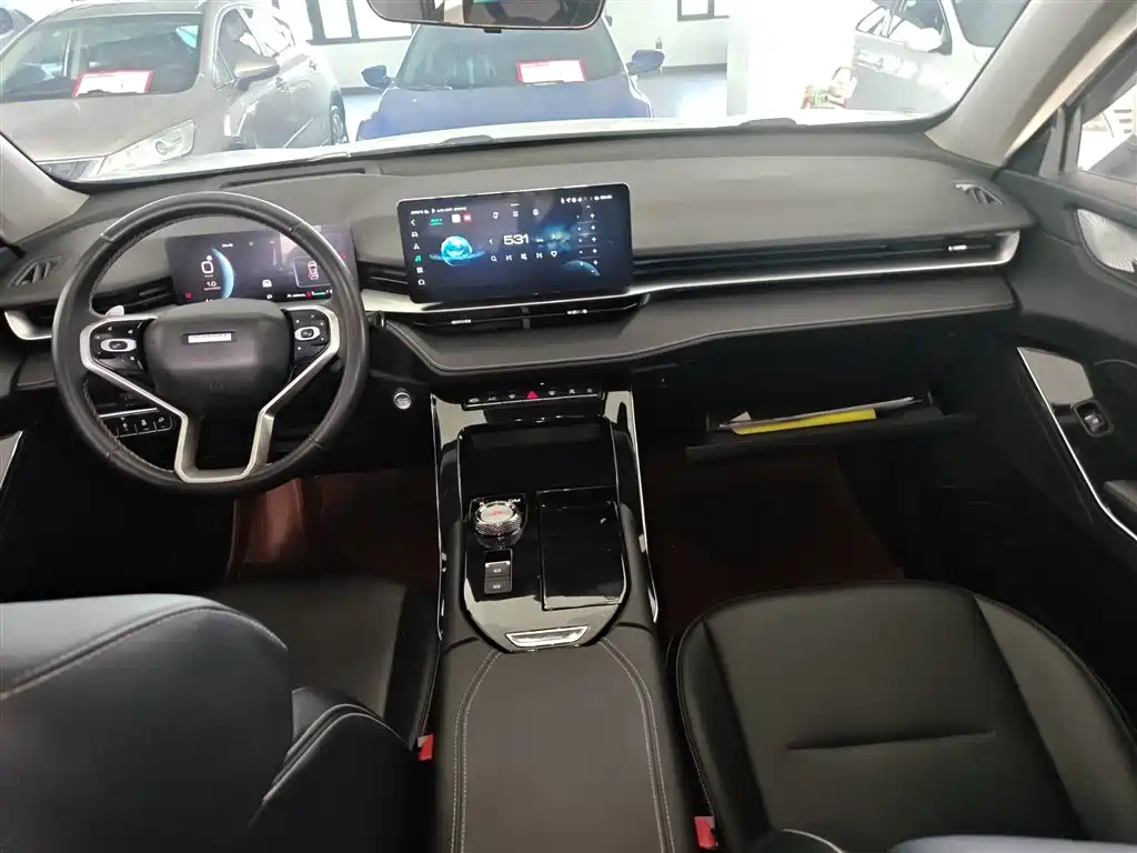 Haval H6 2021 — фото 10