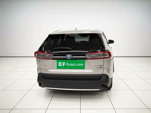 Toyota Weilanda New Energy 2021