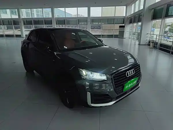 Audi Q2L 2019