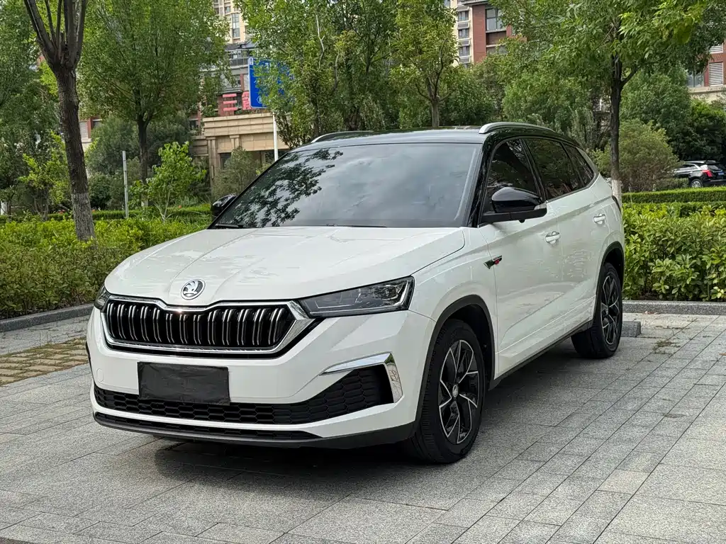 Skoda Kamiq 2022 — фото 1