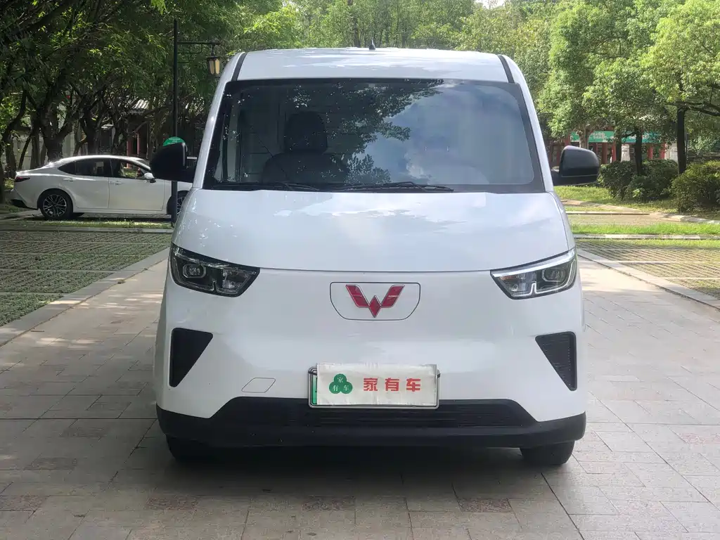 Wuling Yangguang 2024