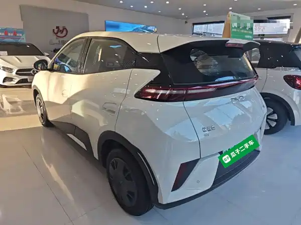 BYD Seagull 2026
