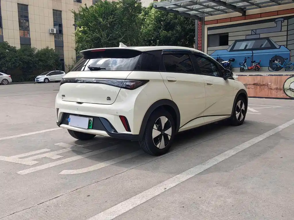 BYD Dolphin 2024 — фото 18