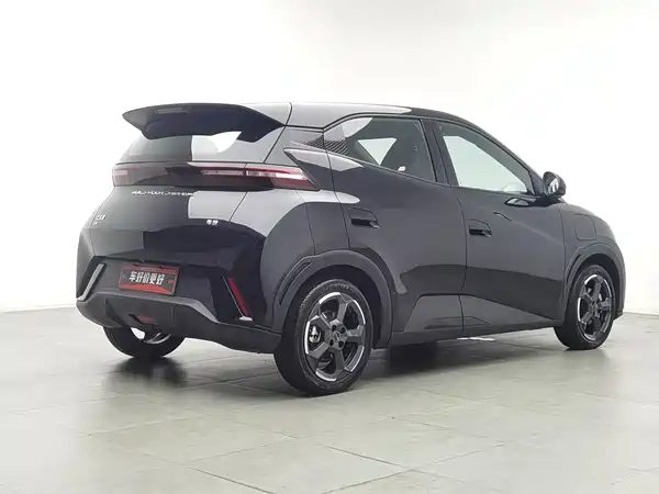 BYD Seagull 2024