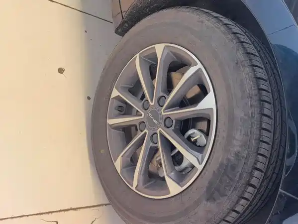 BYD Destroyer 05 2024
