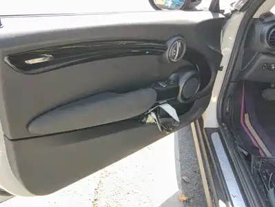 MINI MINI 2020