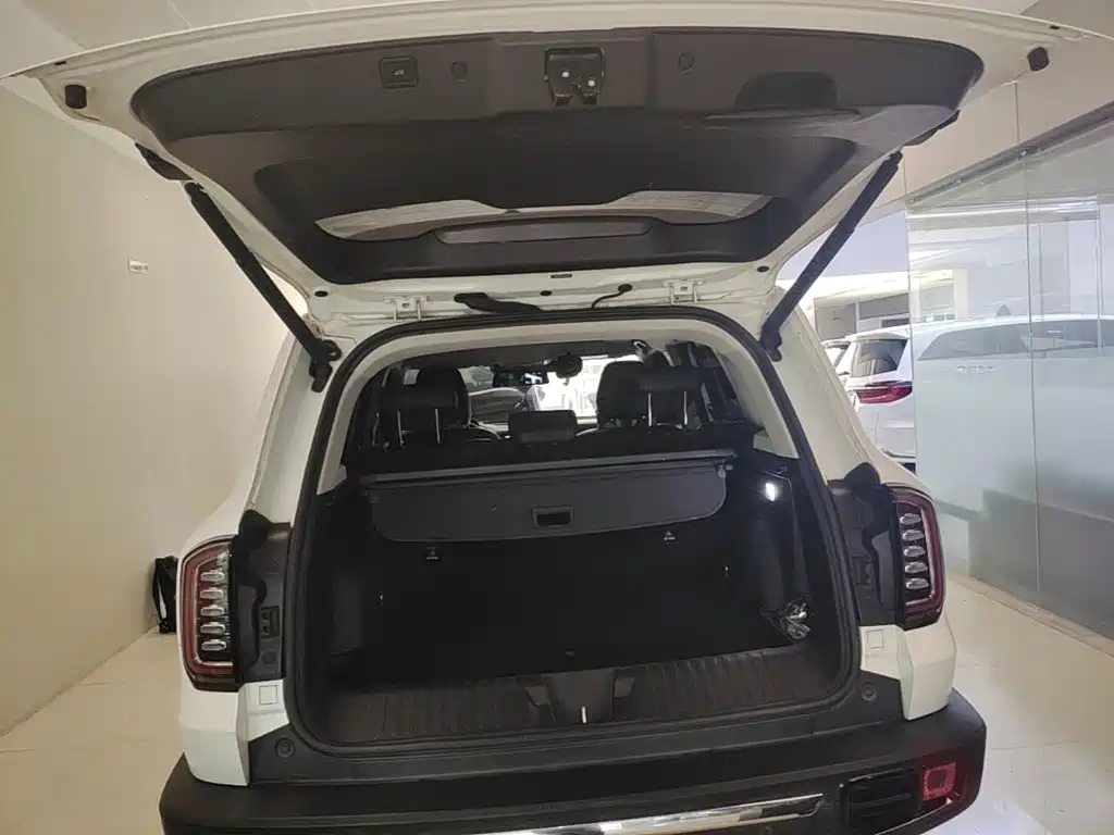 Haval Big Dog 2023 — фото 19