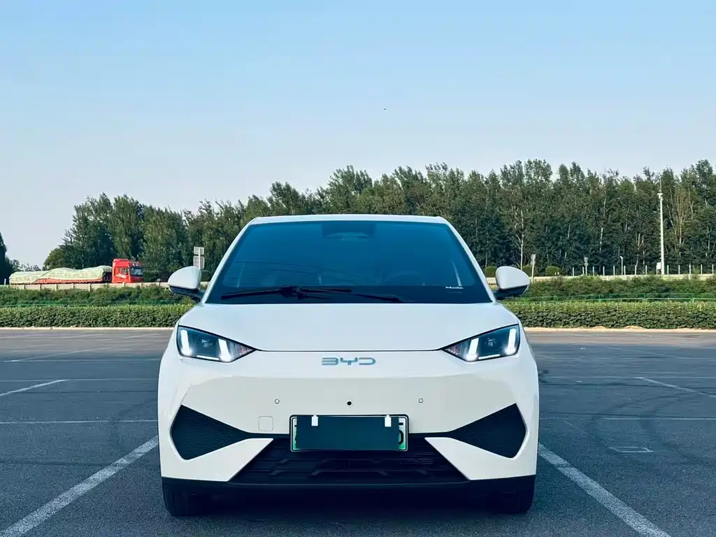 BYD Seagull 2025
