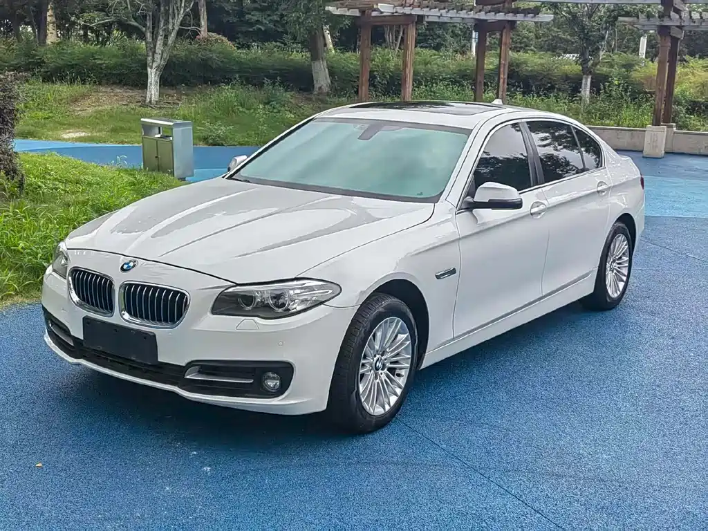 BMW 5 Series 2014 — фото 1