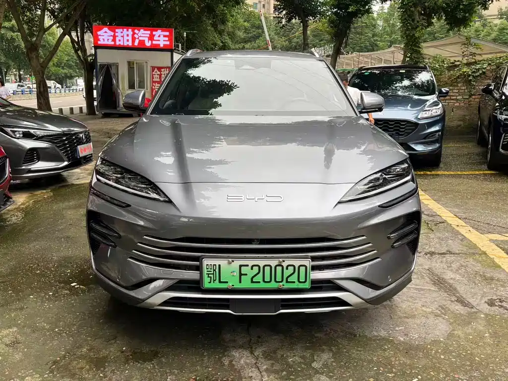 BYD PLUS New Energy 2024 — фото 2