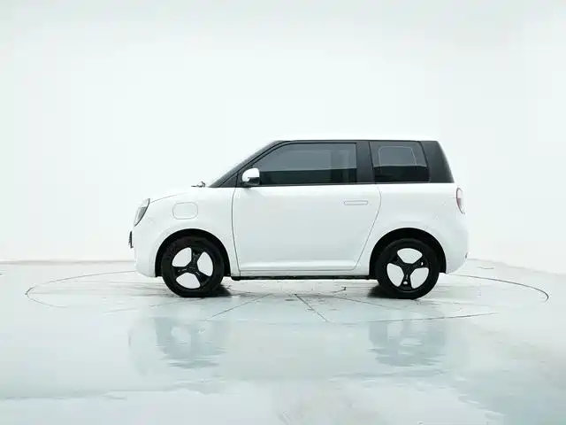 Qiyuan Lumin 2025