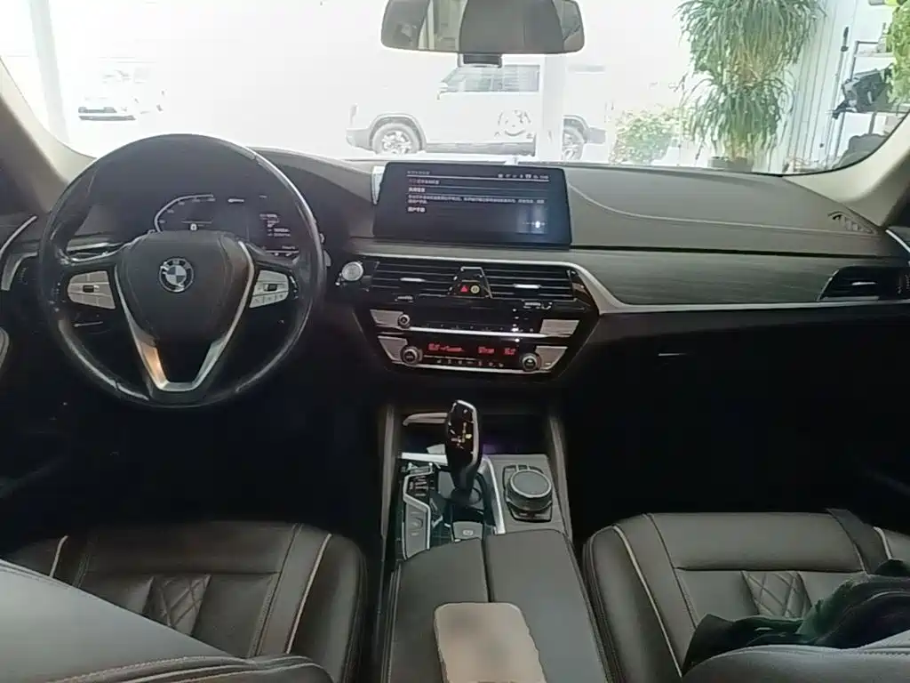 BMW 5 Series New Energy 2020 — фото 10