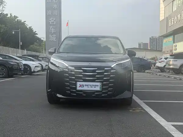 BYD Summer 2025