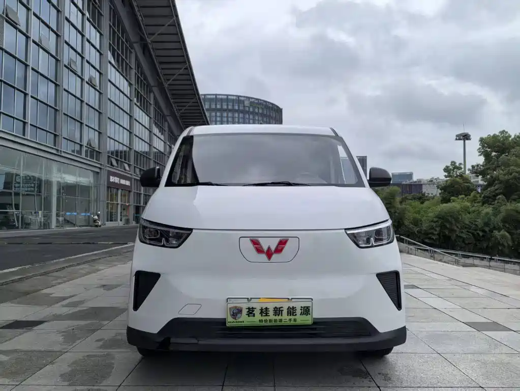 Wuling Yangguang 2024