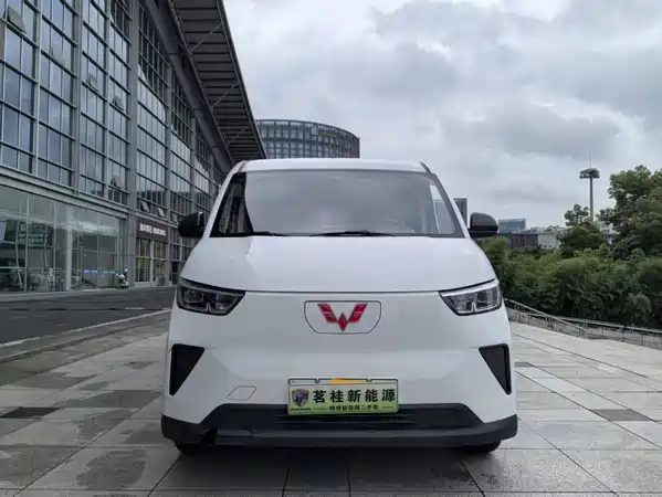 Wuling Yangguang 2024