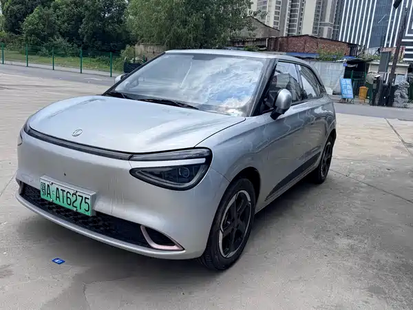 Dongfeng Nano 01 2025