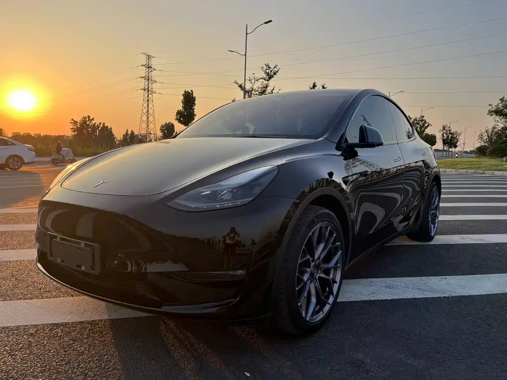 Tesla Model Y 2021 — фото 1