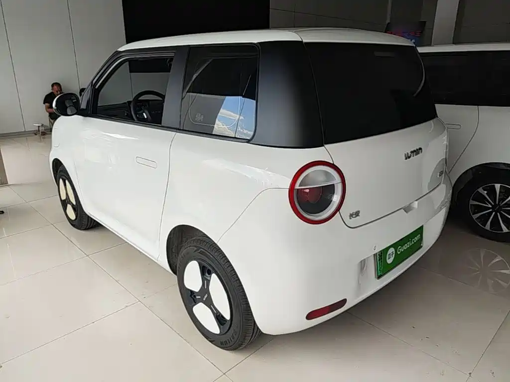 Qiyuan Lumin 2025