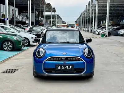 MINI MINI 2025