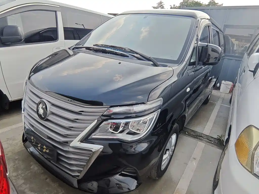 Dongfeng Lingzhi 2024