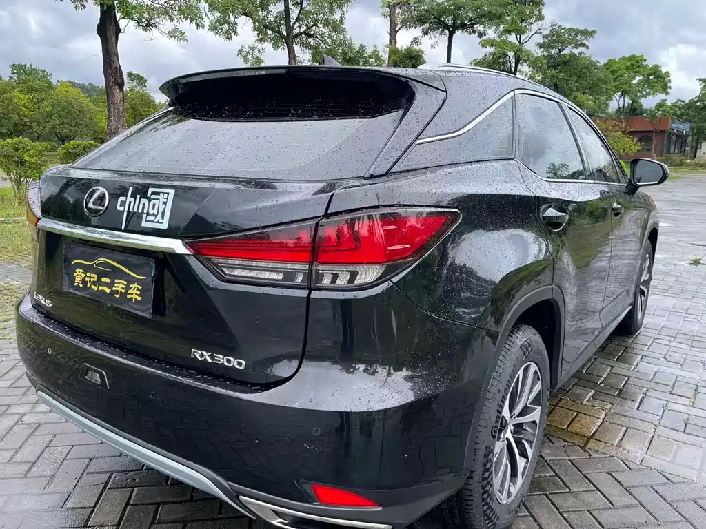 Lexus RX 2020 — фото 11