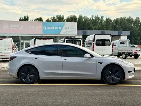 Tesla Model 3 2020