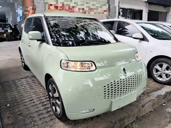 Ora White Cat 2021