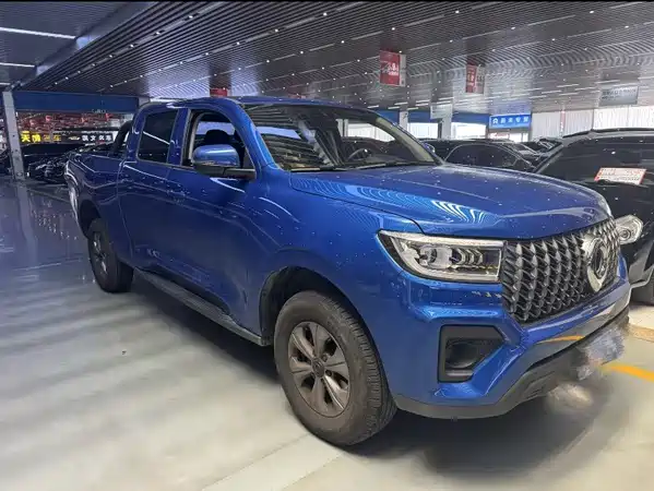 Great Wall Poer 2025