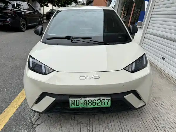 BYD Seagull 2024