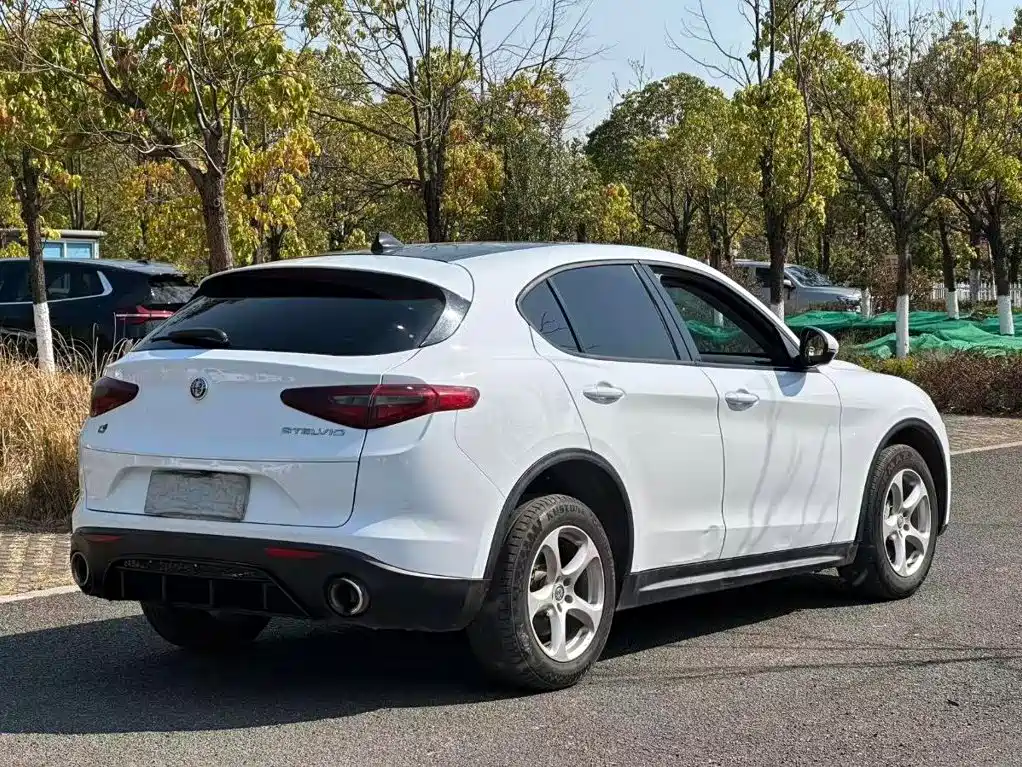Alfa Romeo Stelvio 2018 — фото 7