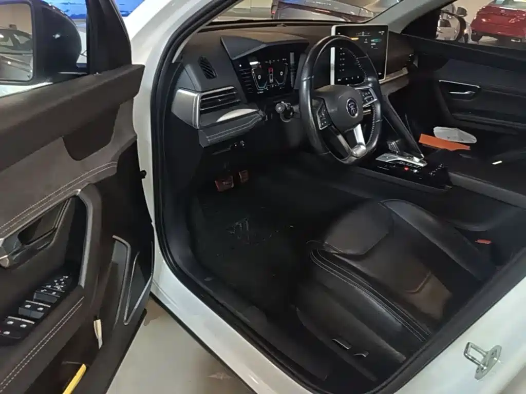 BYD Pro New Energy 2020 — фото 16