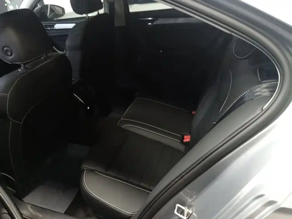 Skoda Speedy 2024 — фото 17